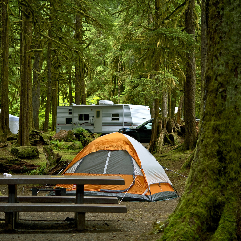 Camping Essentials