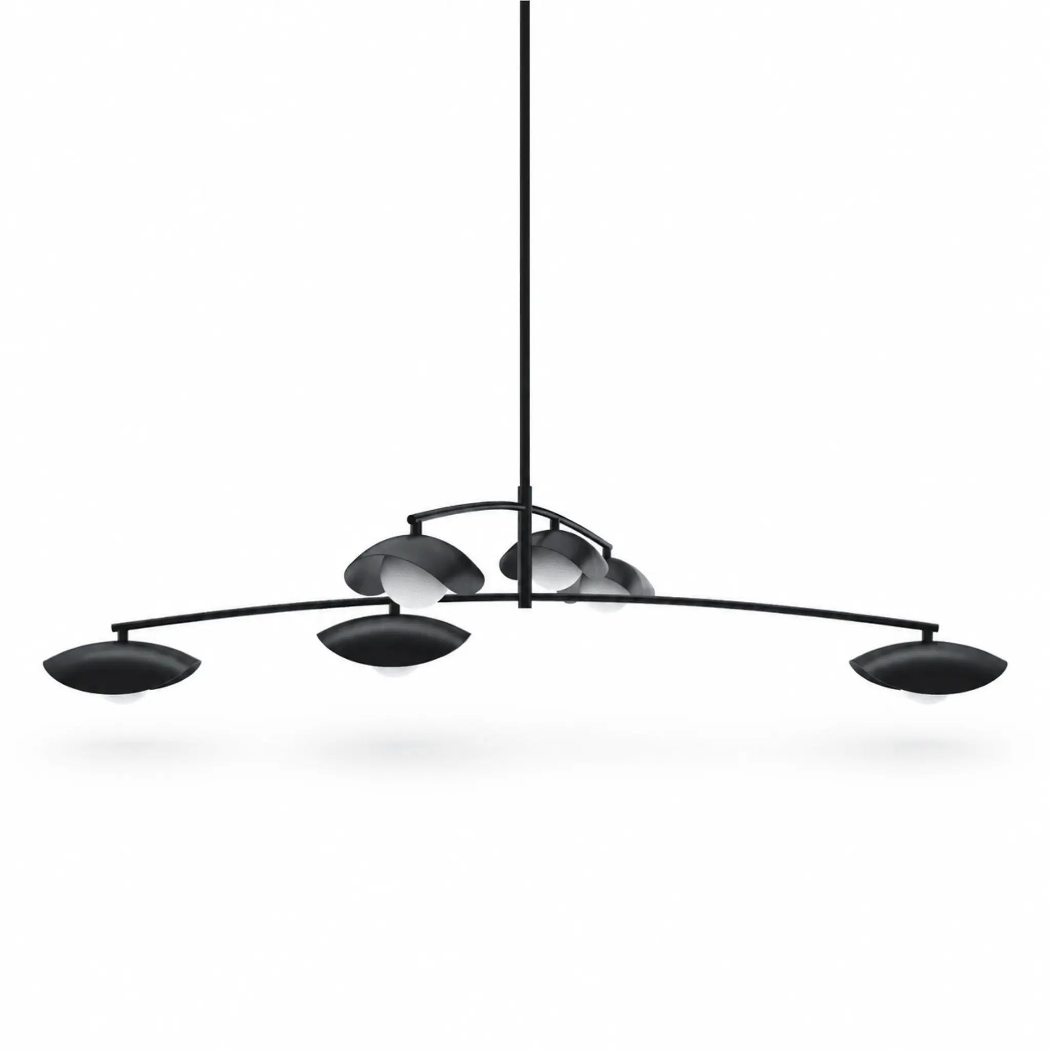 The Organic Form Chandelier