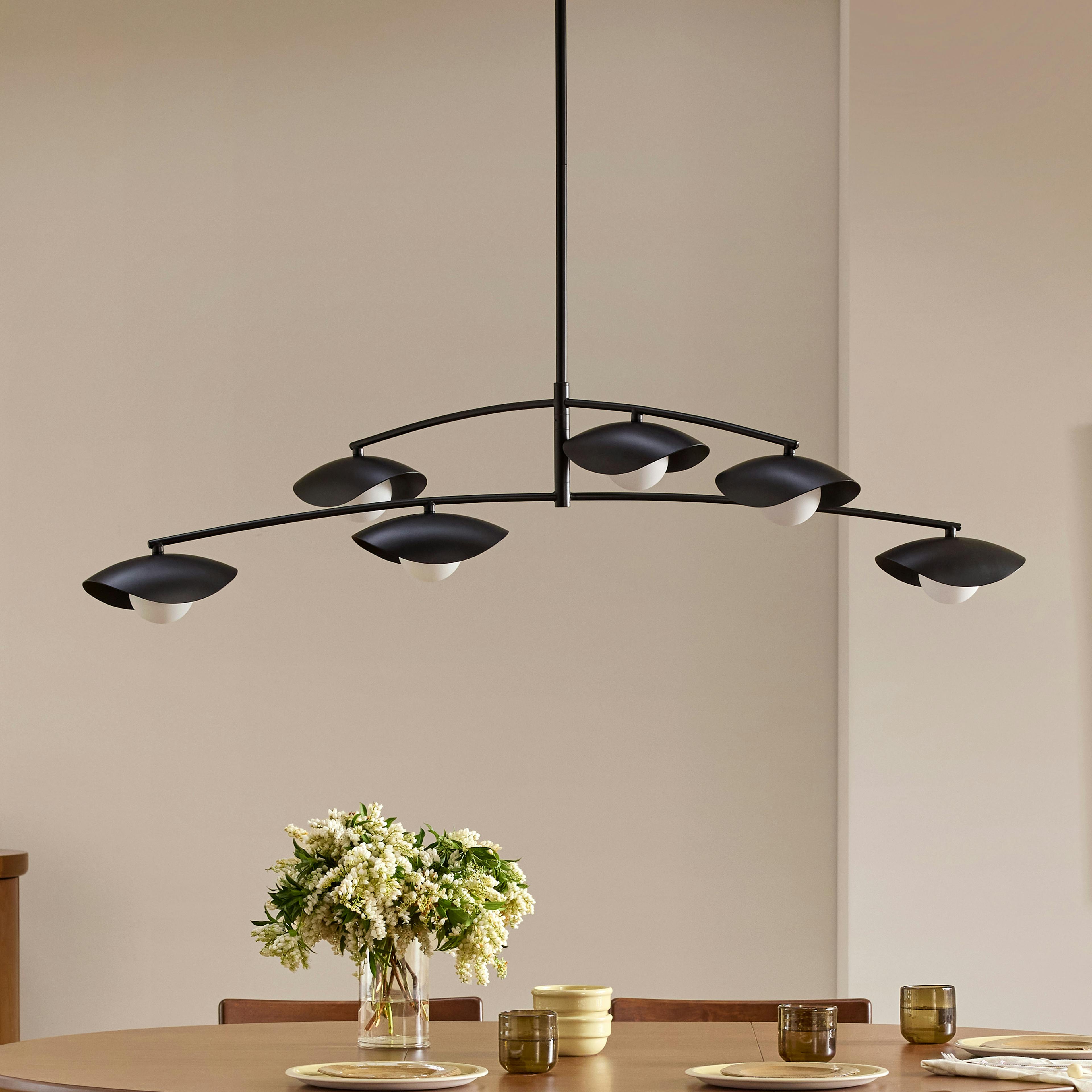 The Organic Form Chandelier