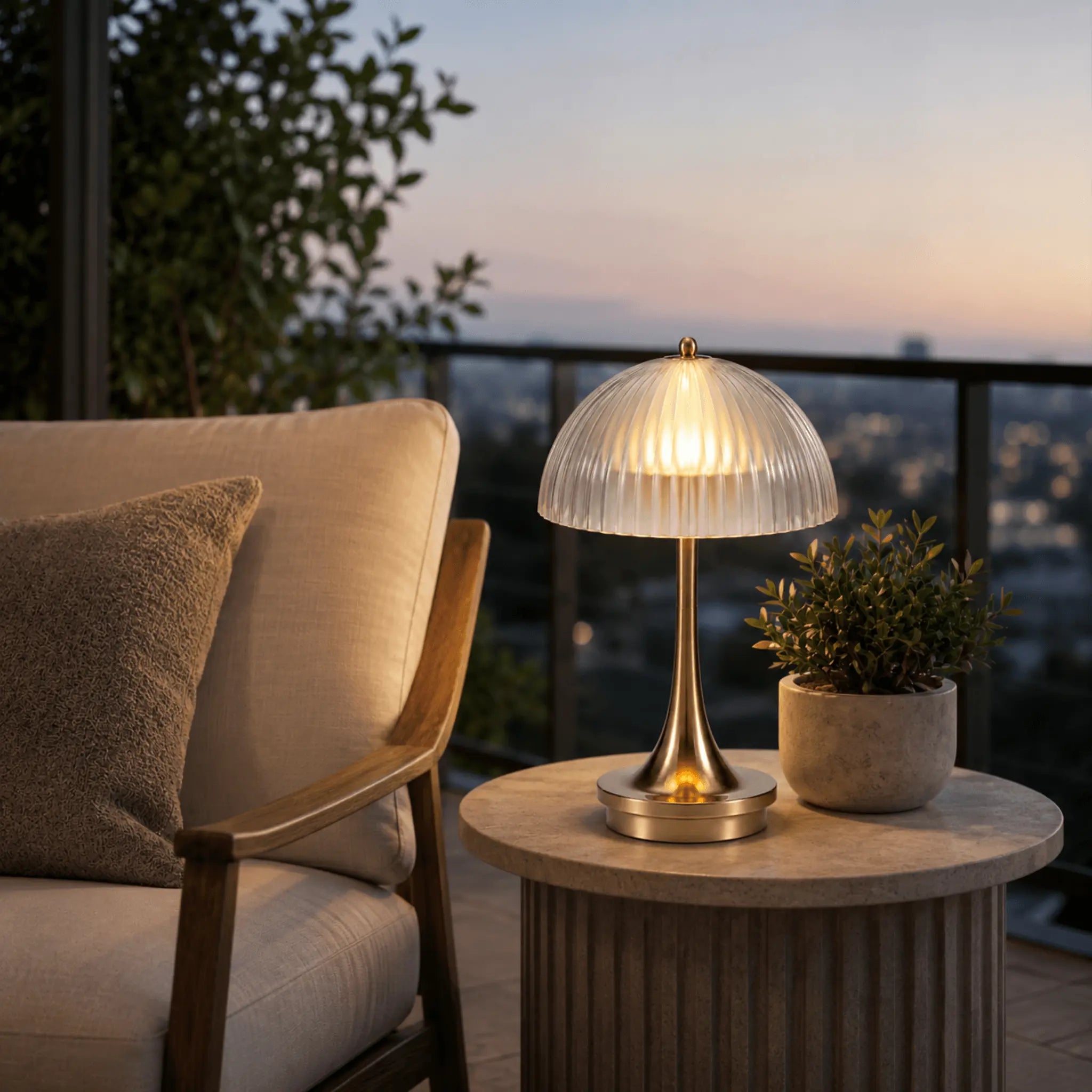 The After Dinner Light