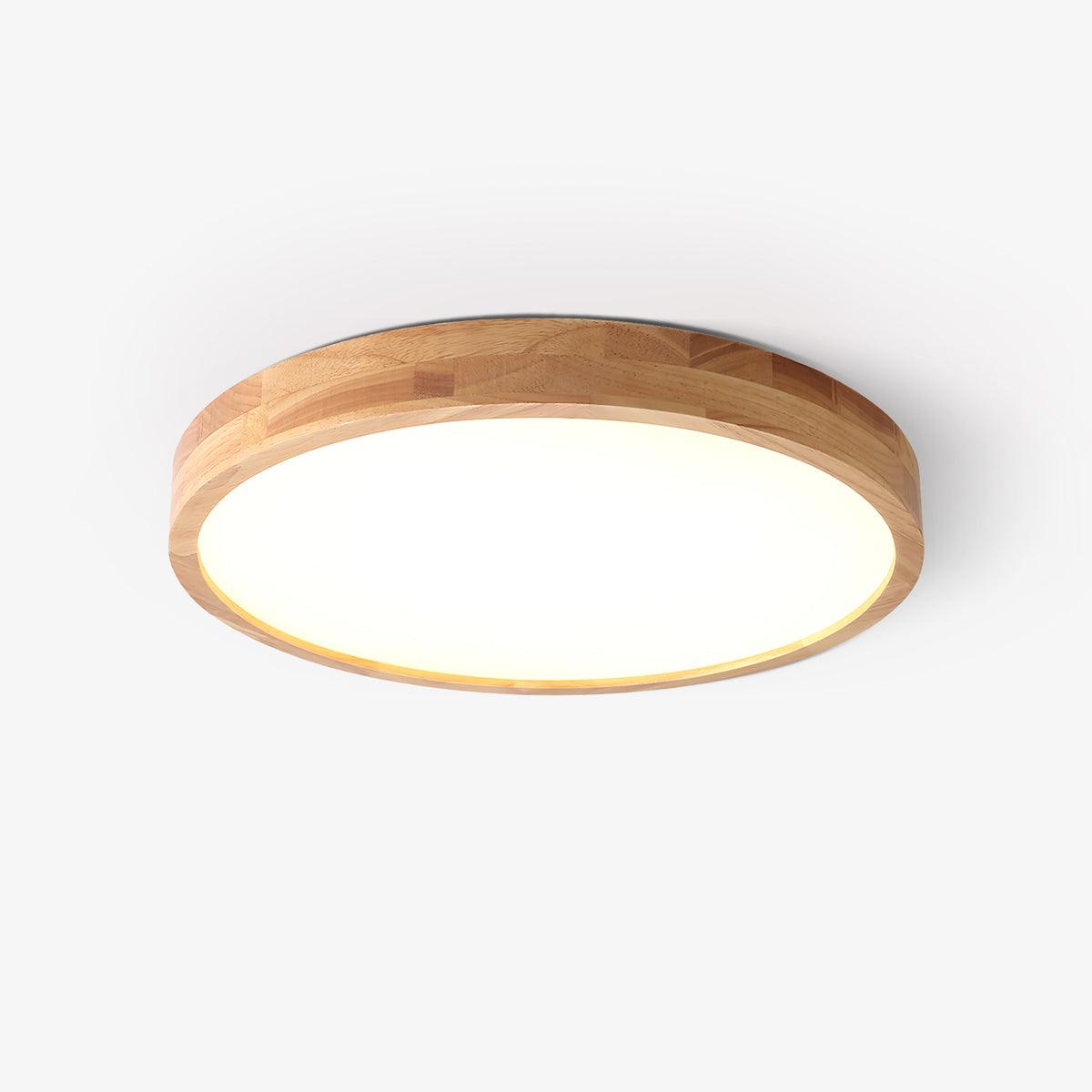 The Warm Geometry Ceiling Light